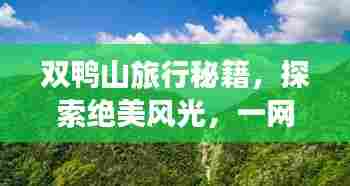 双鸭山旅行秘籍,探索绝美风光,一网打尽必游景点!