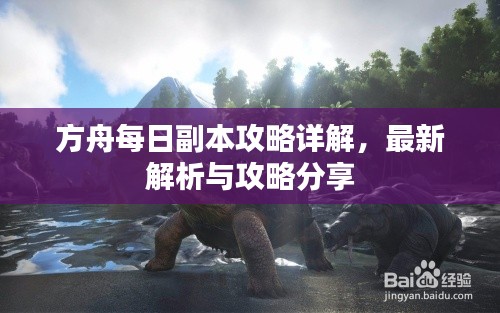 方舟每日副本攻略详解，最新解析与攻略分享