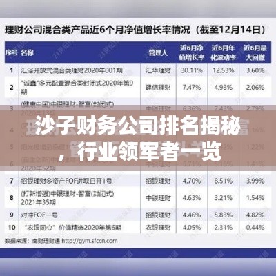 沙子财务公司排名揭秘,行业领军者一览