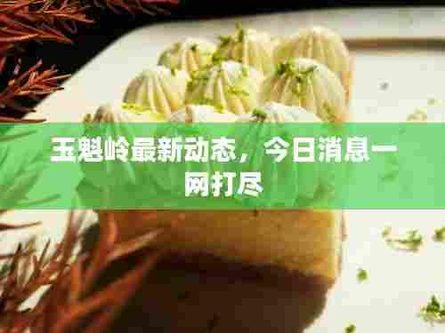 玉魁岭最新动态,今日消息一网打尽