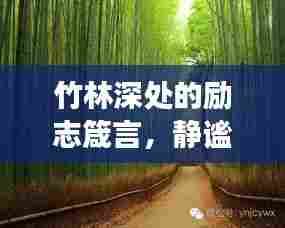 竹林深处的励志箴言，静谧成长，力量无穷