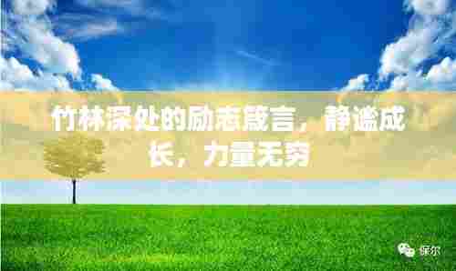 竹林深处的励志箴言,静谧成长,力量无穷