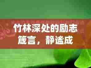 竹林深处的励志箴言,静谧成长,力量无穷