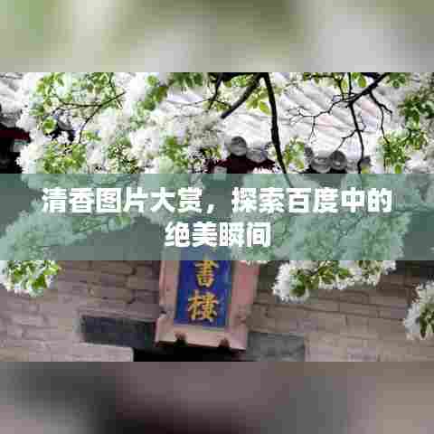 清香图片大赏,探索百度中的绝美瞬间