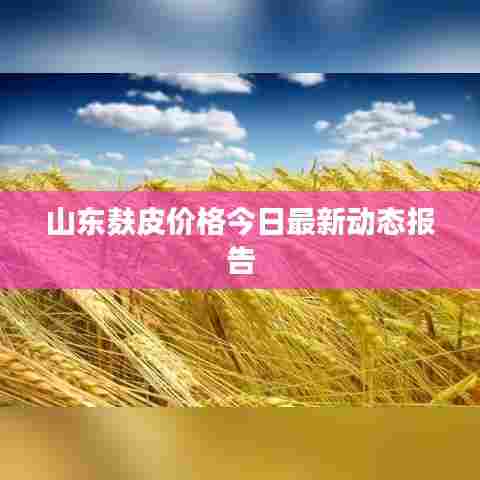山东麸皮价格今日最新动态报告