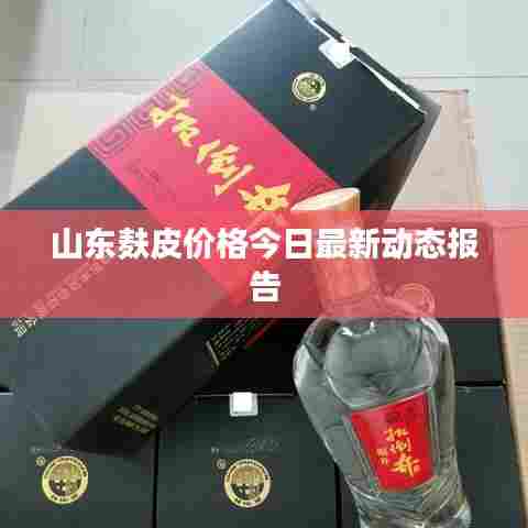 山东麸皮价格今日最新动态报告