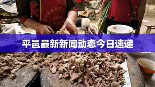 百鸟归巢 第4页