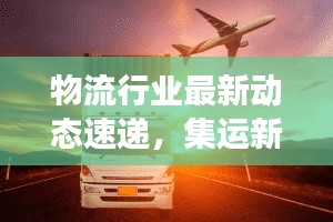 物流行业最新动态速递，集运新闻头条探索之旅