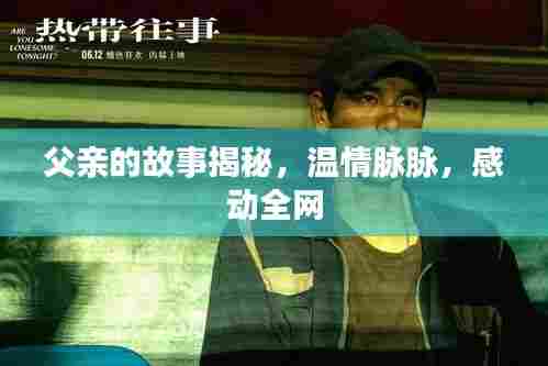 父亲的故事揭秘,温情脉脉,感动全网