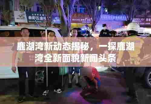 鹿湖湾新动态揭秘，一探鹿湖湾全新面貌新闻头条