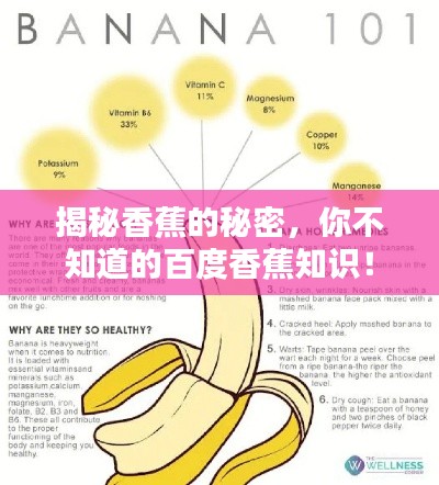 揭秘香蕉的秘密，你不知道的百度香蕉知识！