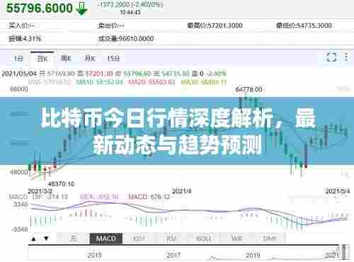 比特币今日行情深度解析，最新动态与趋势预测