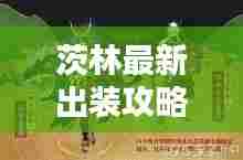 茨林最新出装攻略,引领战斗潮流的终极秘籍