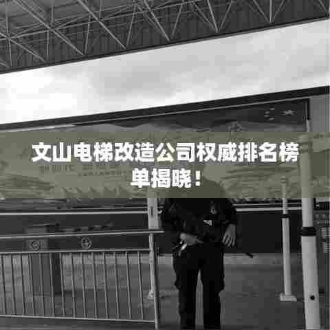 文山电梯改造公司权威排名榜单揭晓!