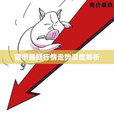 猪市最新行情走势深度解析