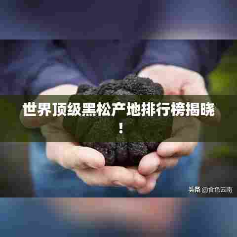 世界顶级黑松产地排行榜揭晓！