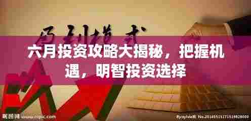 六月投资攻略大揭秘，把握机遇，明智投资选择