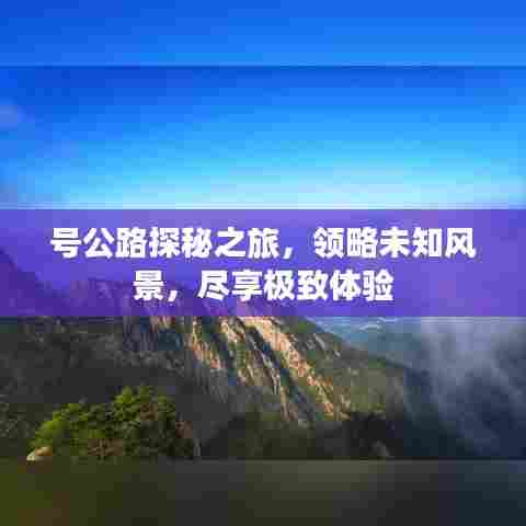 号公路探秘之旅,领略未知风景,尽享极致体验