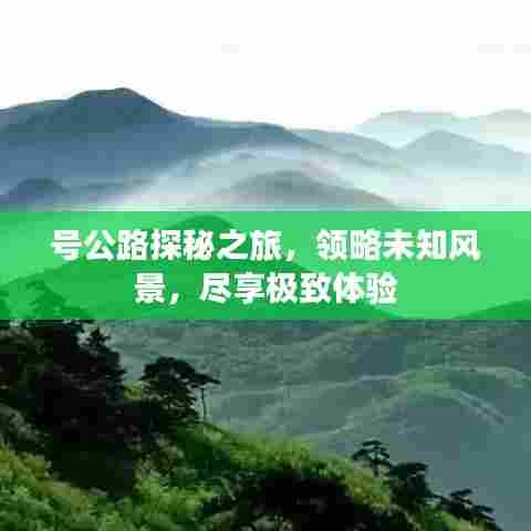 号公路探秘之旅，领略未知风景，尽享极致体验