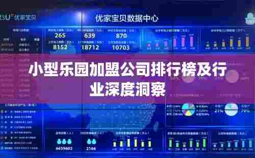 小型乐园加盟公司排行榜及行业深度洞察