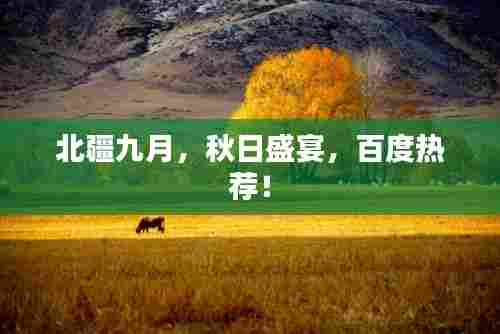 北疆九月,秋日盛宴,百度热荐!