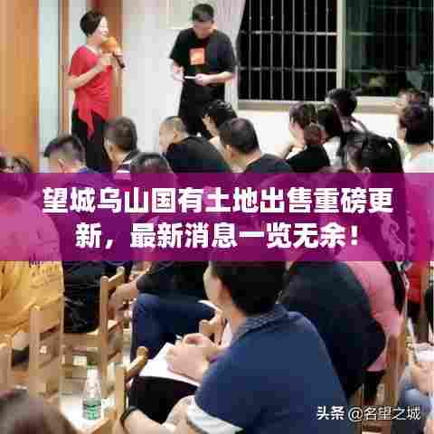 望城乌山国有土地出售重磅更新，最新消息一览无余！