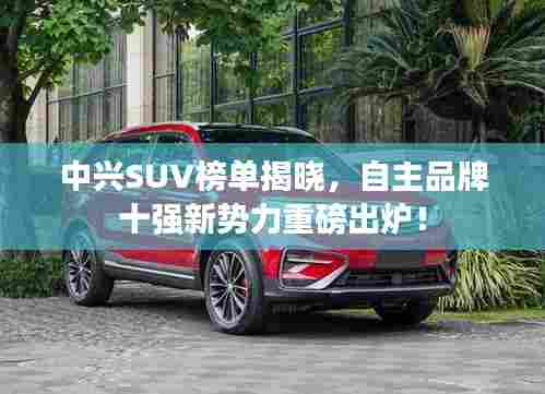 中兴SUV榜单揭晓,自主品牌十强新势力重磅出炉!