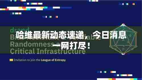 哈维最新动态速递,今日消息一网打尽!