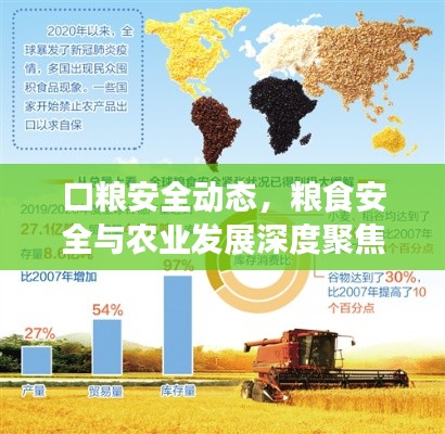 口粮安全动态,粮食安全与农业发展深度聚焦新闻头条