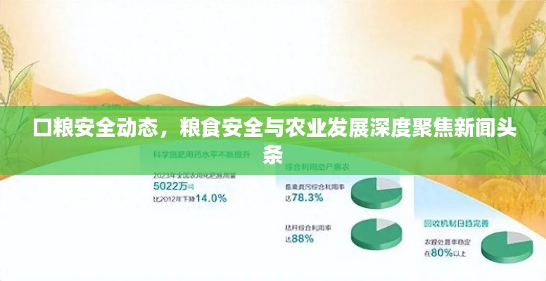 口粮安全动态,粮食安全与农业发展深度聚焦新闻头条