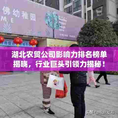 湖北农贸公司影响力排名榜单揭晓,行业巨头引领力揭秘!