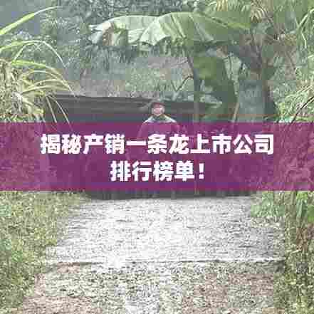 揭秘产销一条龙上市公司排行榜单!