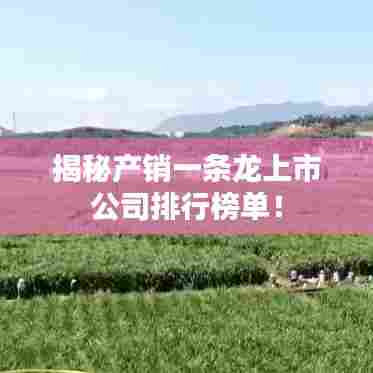 揭秘产销一条龙上市公司排行榜单!
