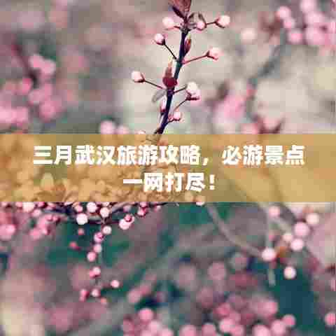 三月武汉旅游攻略,必游景点一网打尽!