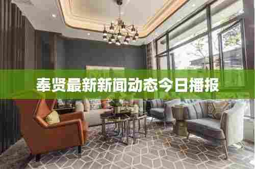 奉贤最新新闻动态今日播报