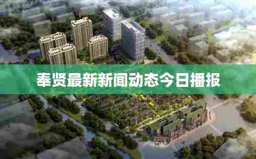 奉贤最新新闻动态今日播报