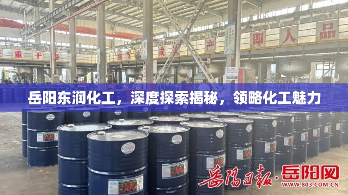 岳阳东润化工,深度探索揭秘,领略化工魅力