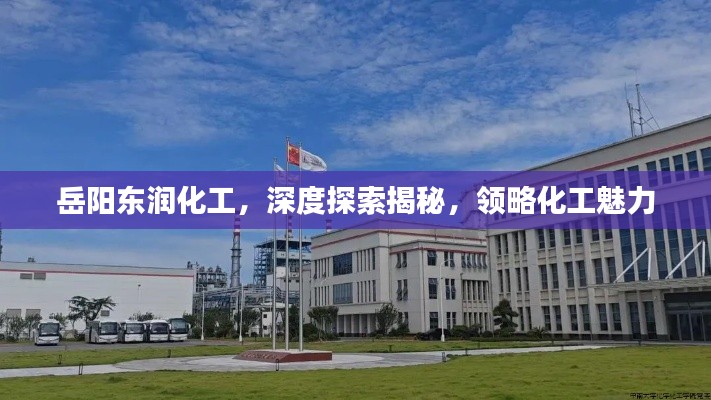 岳阳东润化工,深度探索揭秘,领略化工魅力