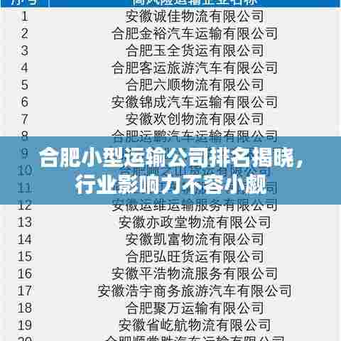 合肥小型运输公司排名揭晓，行业影响力不容小觑