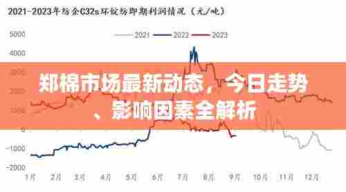 郑棉市场最新动态,今日走势、影响因素全解析