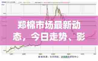 郑棉市场最新动态，今日走势、影响因素全解析