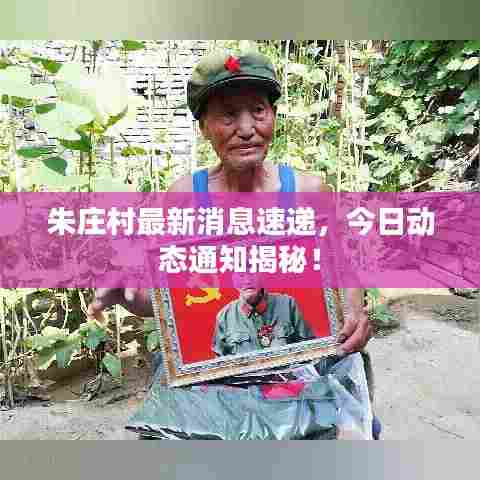 朱庄村最新消息速递,今日动态通知揭秘!