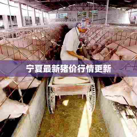 宁夏最新猪价行情更新