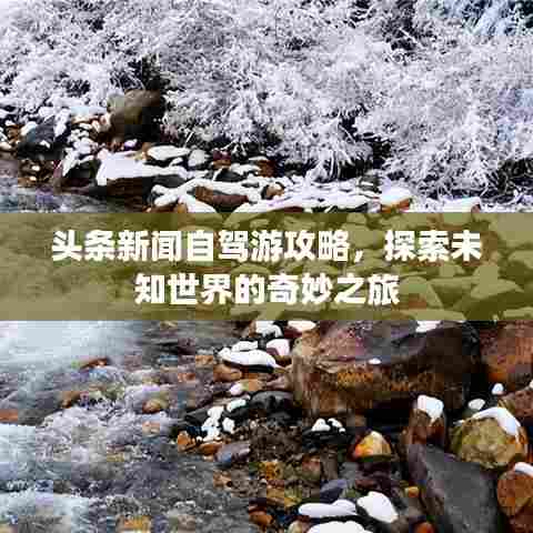 头条新闻自驾游攻略,探索未知世界的奇妙之旅