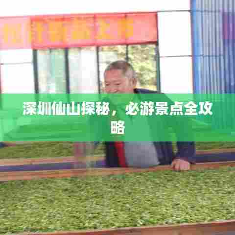 深圳仙山探秘,必游景点全攻略