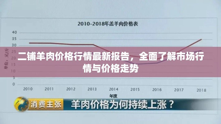 奔走如飞 第3页