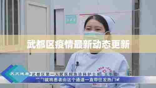 武都区疫情最新动态更新