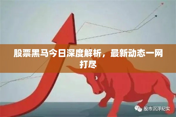 股票黑马今日深度解析,最新动态一网打尽