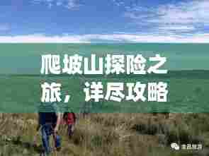 攀高接贵 第3页