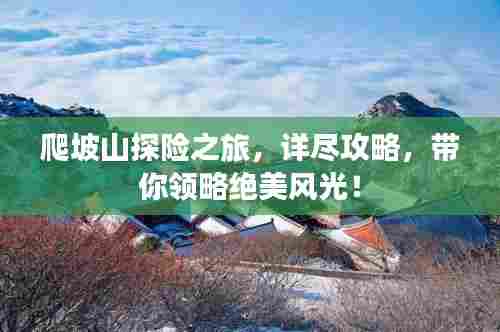 爬坡山探险之旅,详尽攻略,带你领略绝美风光!